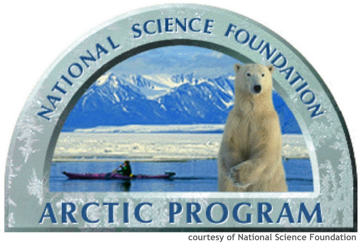 Logo of the NSF's Arctic Program