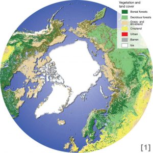 Map of the Arctic, its vegetation and land cover