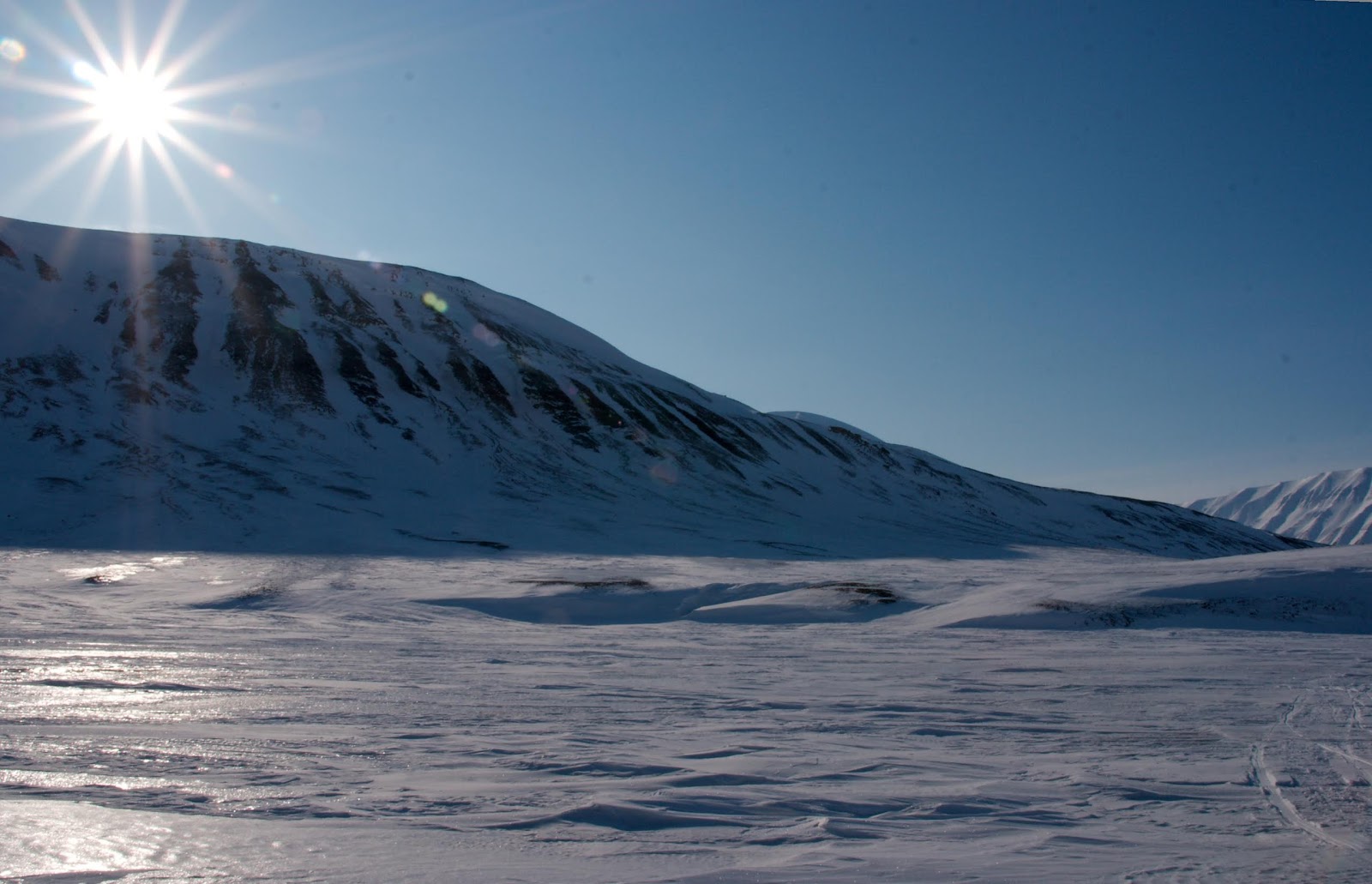 Snowy landscape