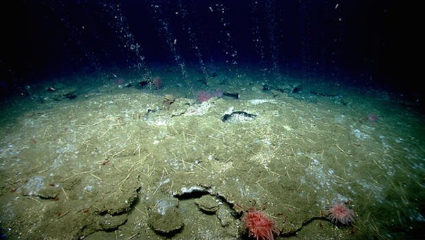 Methane hydrates releasing methane gas in bubbles in the ocean - i.treehugger image