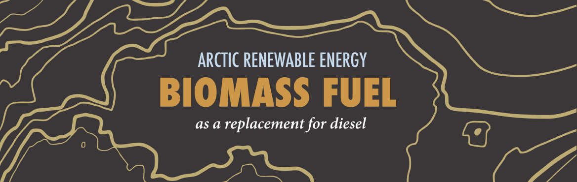 Infographic header on Biomass fuels in the Arctic.