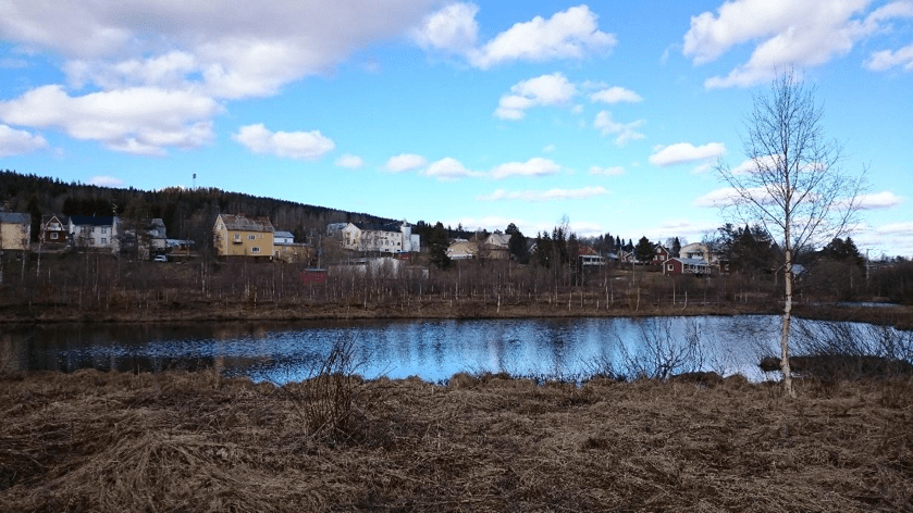 Small village visible across a pond.