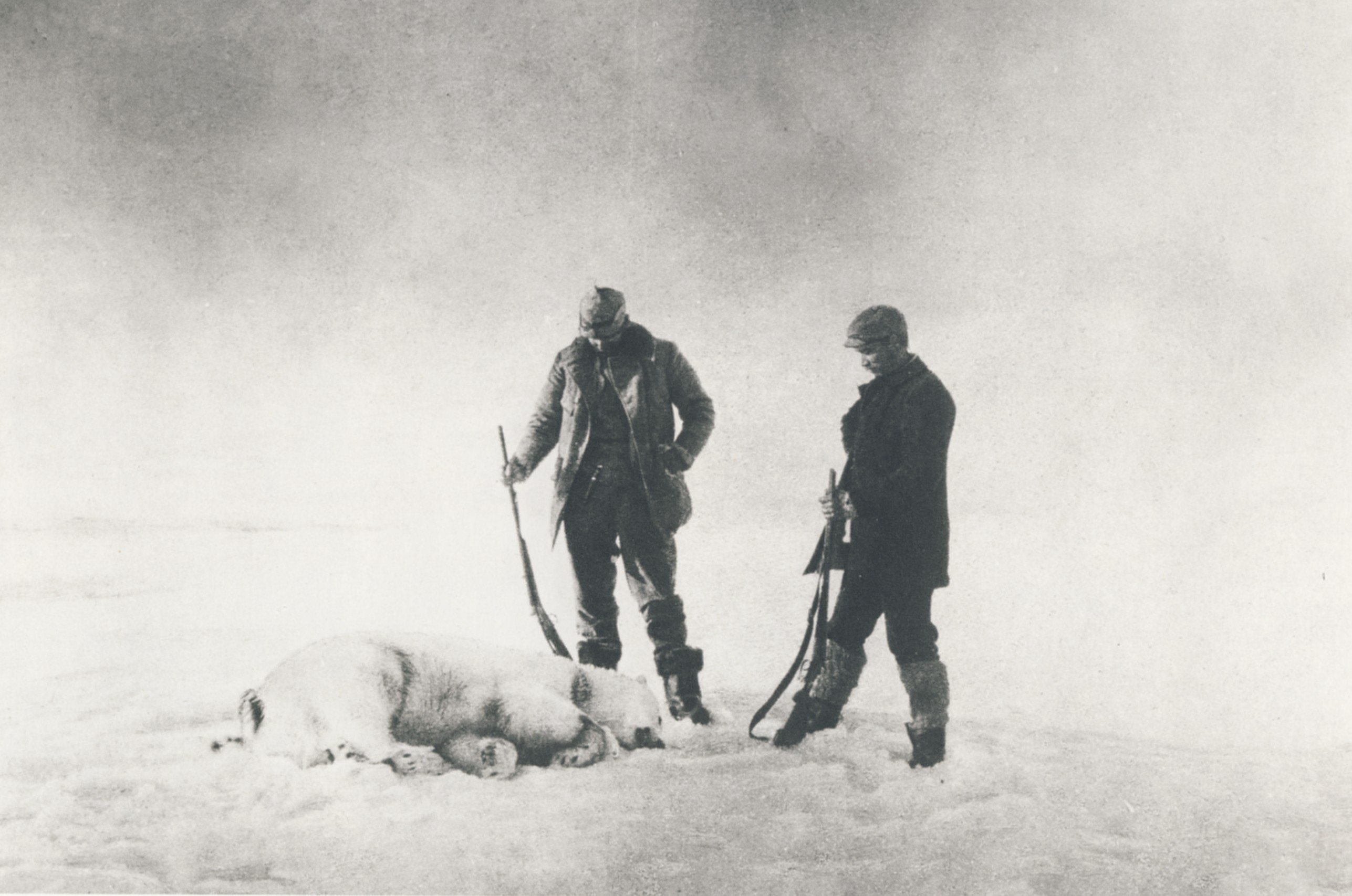 Two men with rifles standing over a dead polar bear.