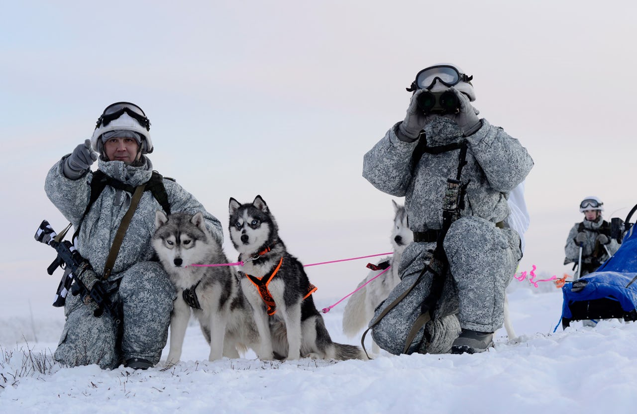 Russian Special Forces soldiers in winter camouflage pose with rifles next to three husky dog sleds in a snowy, white, Arctic landscape. One soldier points as the other looks through his binoculars.