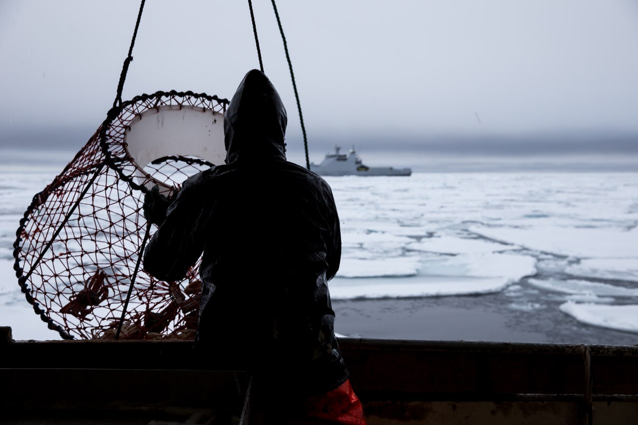 Fishermen taking crabs in a net on board with naval vessel in the background