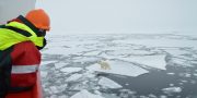 Scientist on RRS James Clark Ross ship looking at polar bear on ice