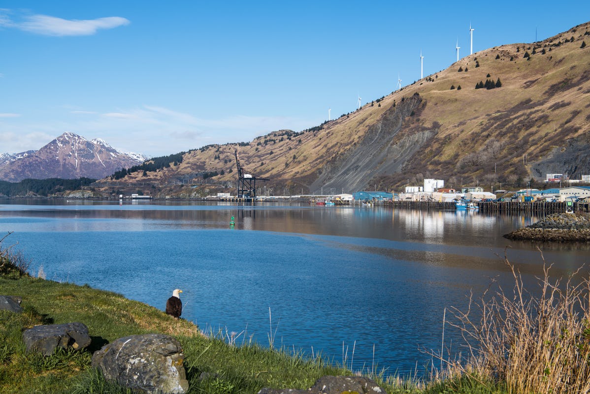 Bald eagle next to water with hills in background