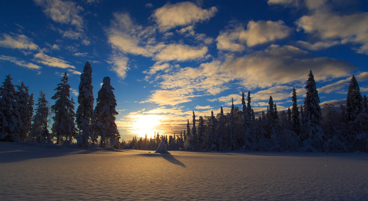A sunset in Arctic Sweden with a blue sky and few white clouds, snowy trees, and a snowy landscape