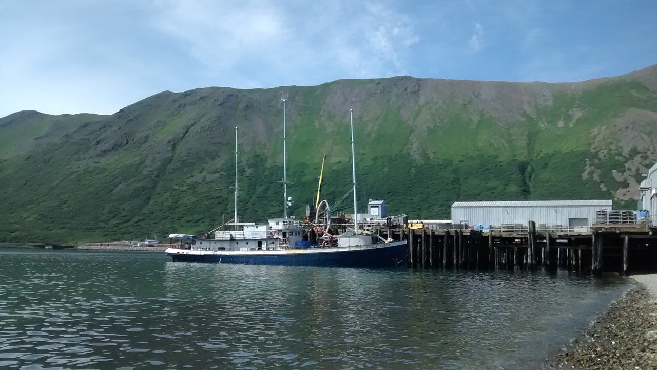 A fishing vessel offloads cargo at a port in King Cove, Alaska
