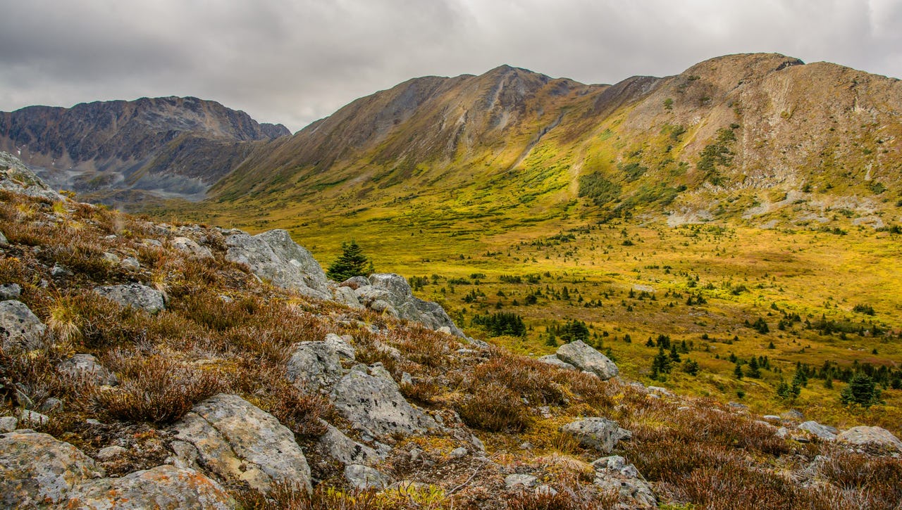 Green landscape with rocks, some trees and mountains