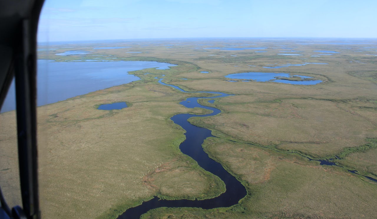 Thermokarst lakes in the Yukon-Kuskokwim Delt