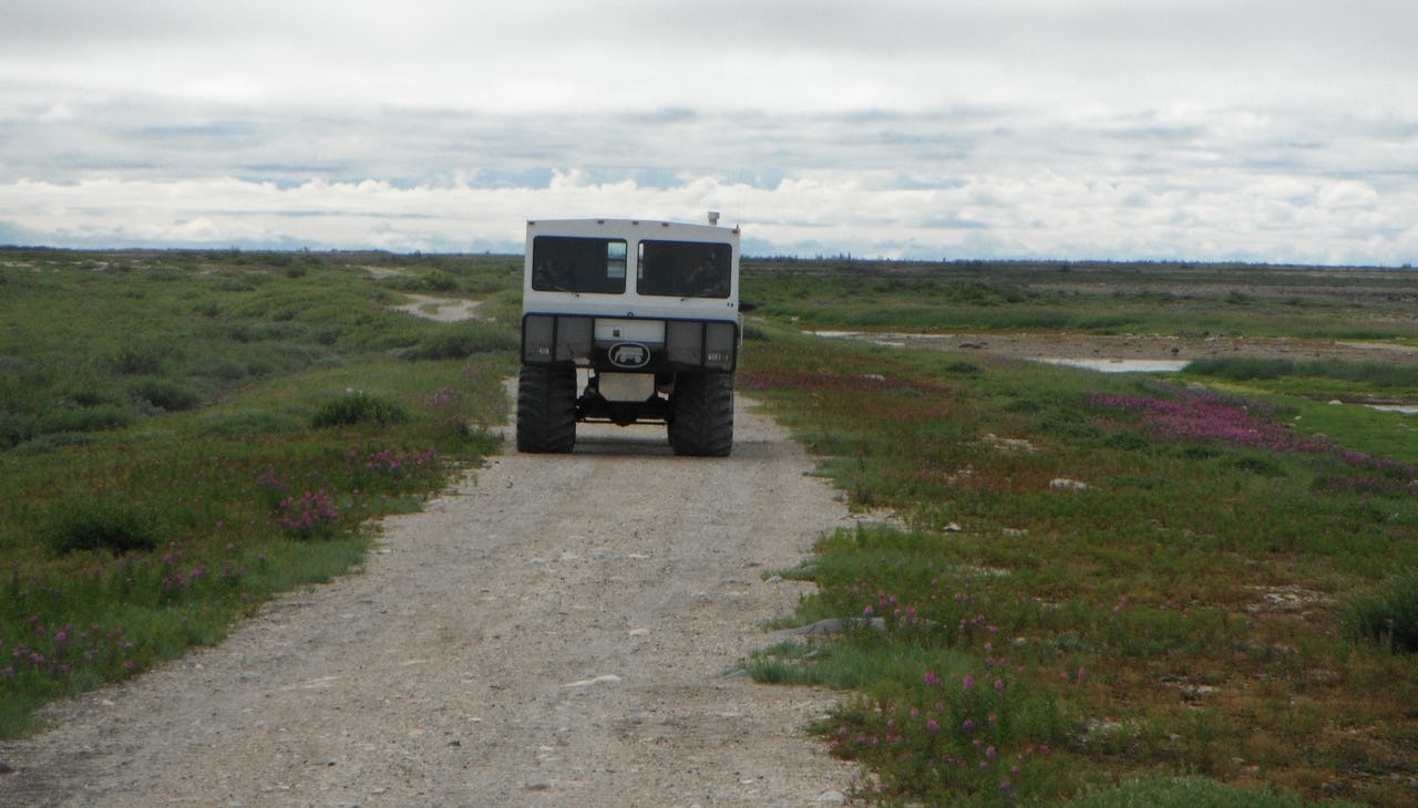 A car on a road surrounded by grass