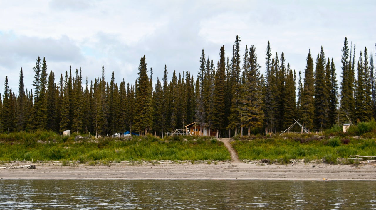 Green trees and a house beside body of water