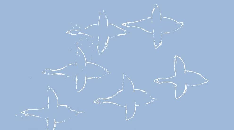 Illustration of six birds flying on light blue background