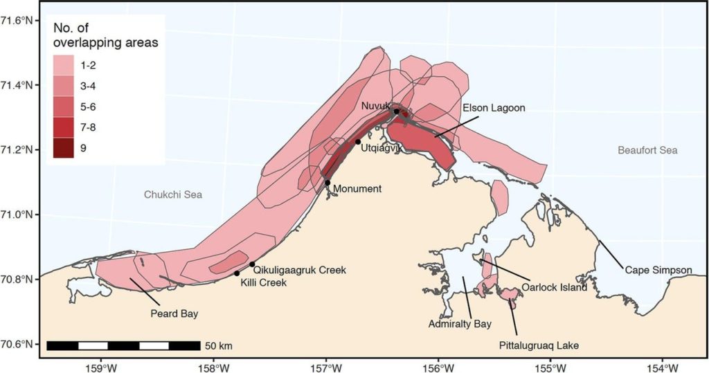 Map in various colours - from white to red - showing concentration of seals in Alaskan waters