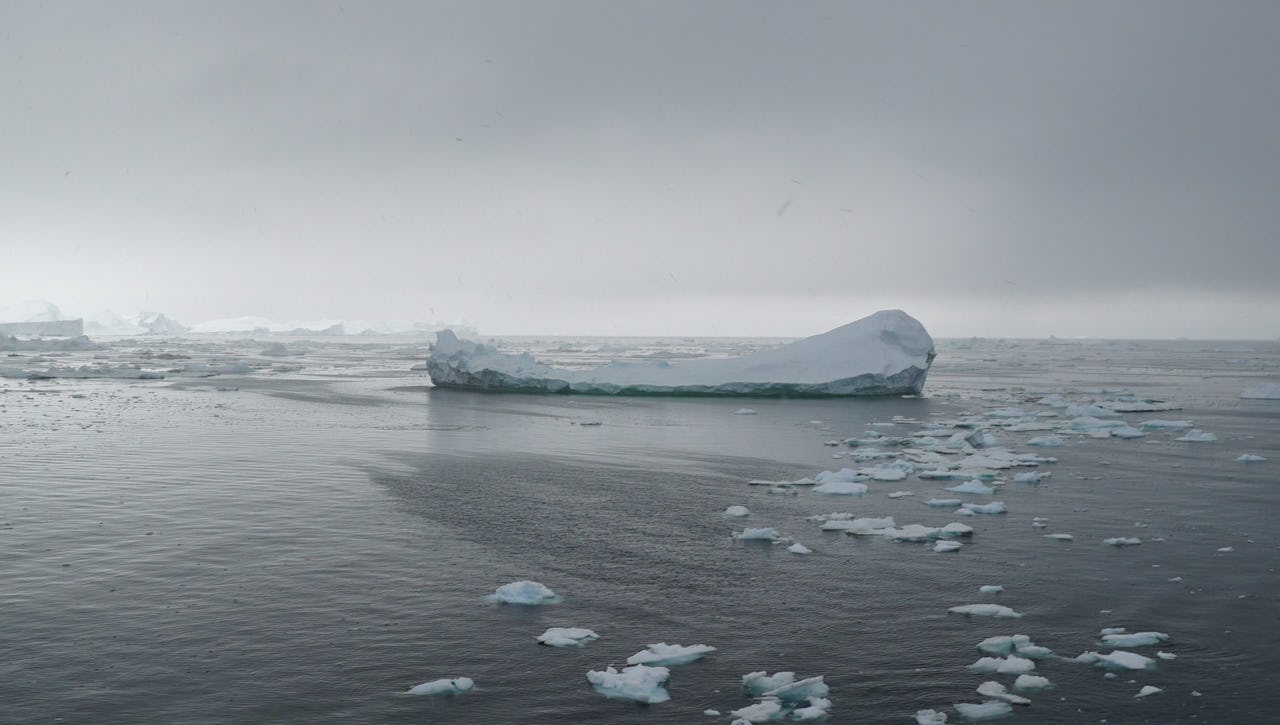 Several icebergs floating in Arctic waters