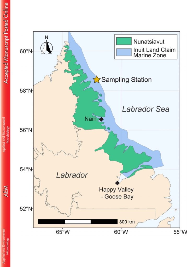 Map in various colours showing a sampling station in the Labrador Sea