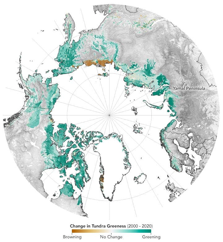 Map showing in various colours (from orange to green) the change of Arctic greening between 2000 and 2020
