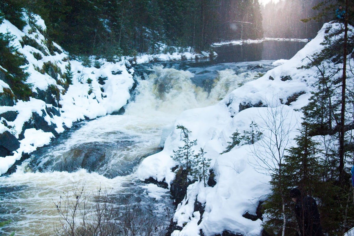 A photograph showing a waterfall in winter surrounded by trees