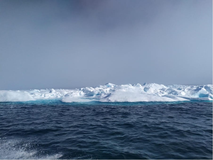 Arctic sea ice floes on Arctic Ocean landscape in North Greenland