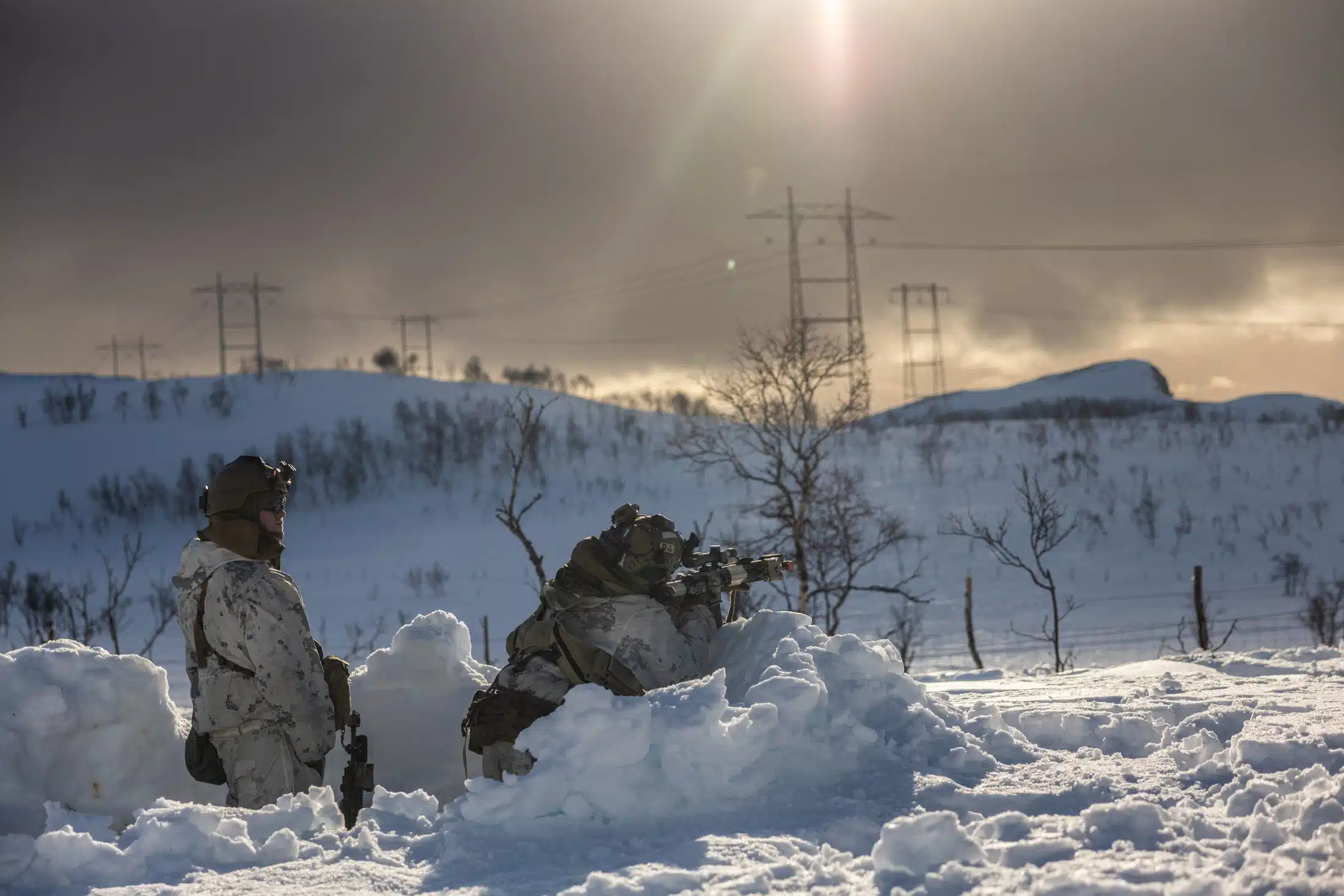 Two soldiers in white and brown uniforms stand in white snow in the foreground with a grey sky in the background