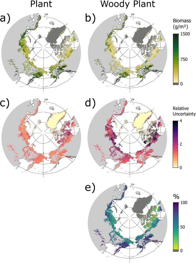 Map showing next-generation aboveground Arctic vegetation