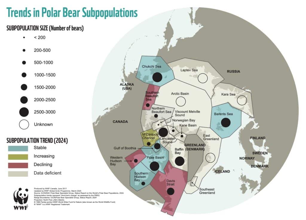 Map showing polar bear subpopulations and their distribution across the circumpolar Arctic, illustrating estimated population status and trends in sea ice habitat