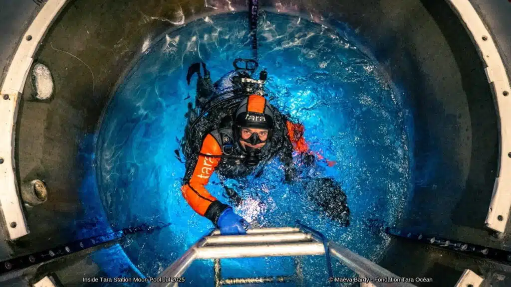 Diver in cold-water gear enters the moon pool inside the Tara Polar Station during an Arctic research mission in July 2025.