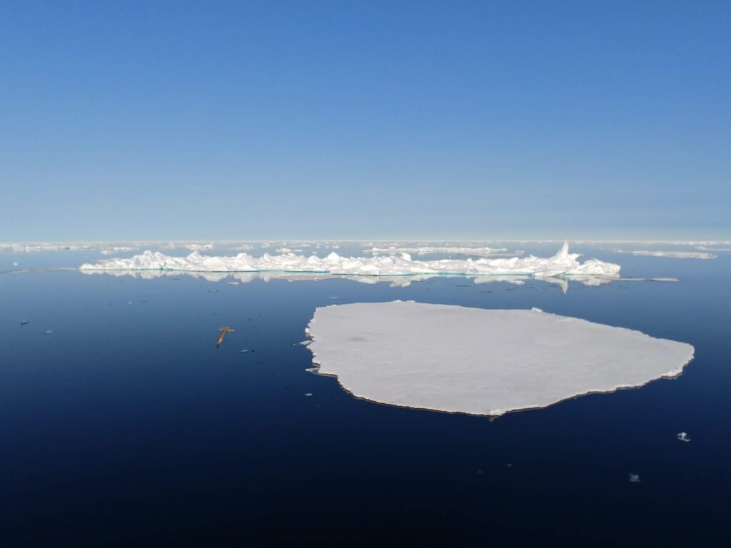 Sea ice taken north of Svalbard