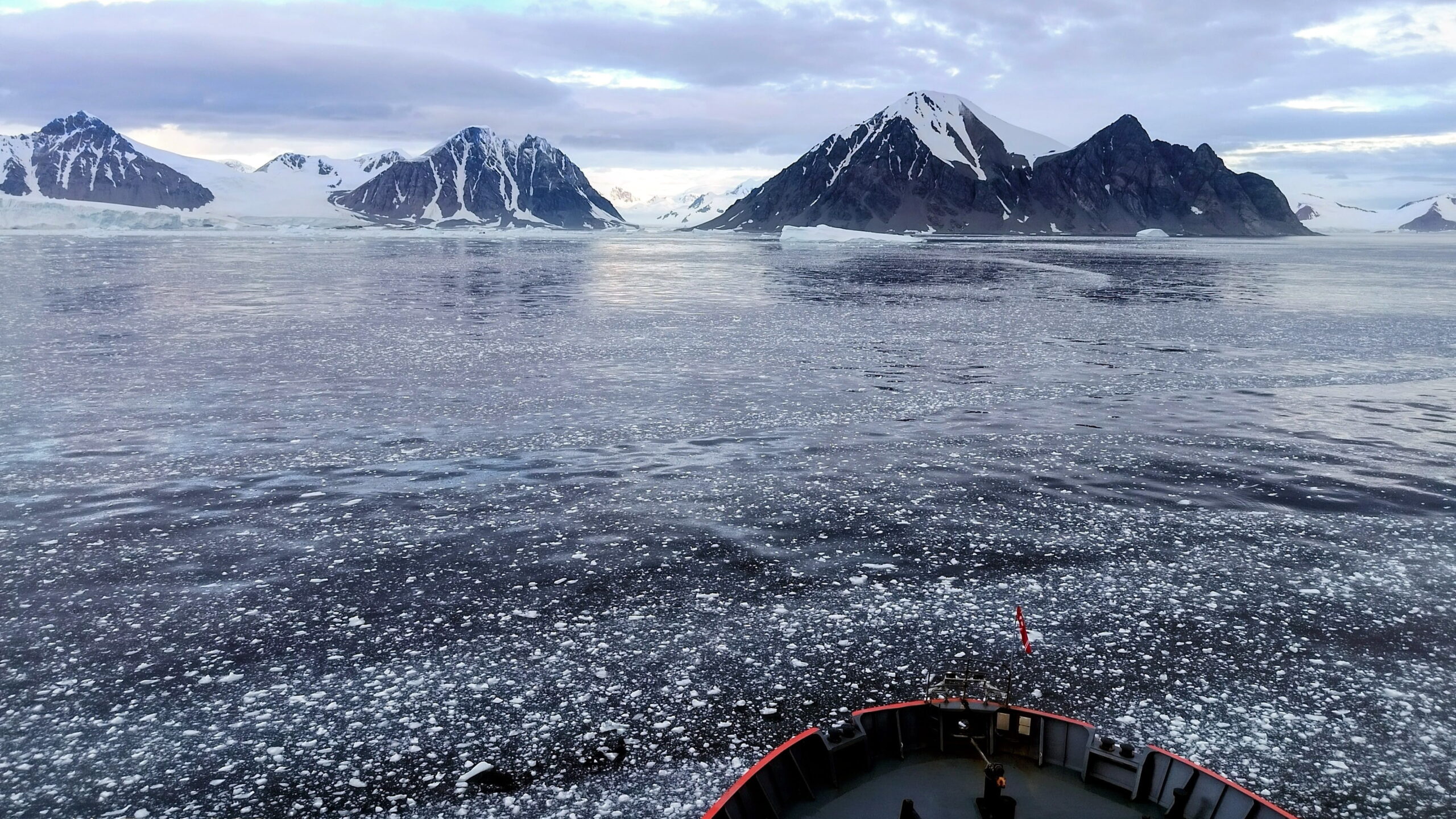Photo taken from the Argentine icebreaker ARA Almirante Irízar showing sea ice and icebergs in the Antarctic Peninsula during the 2025–2026 Antarctic Summer Campaign